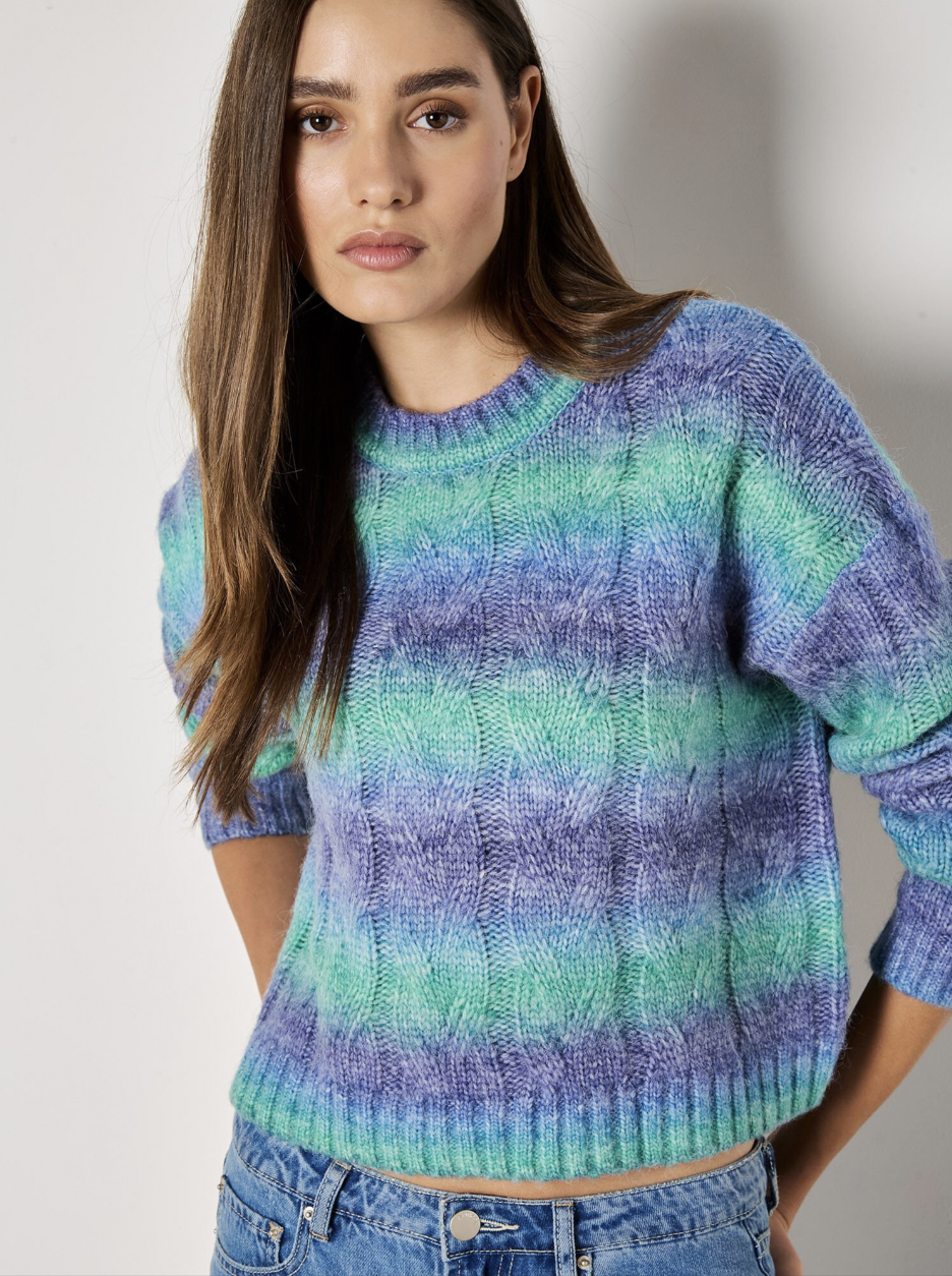 Screen Shot 2025-01-06 at 1.30.25 PM.png