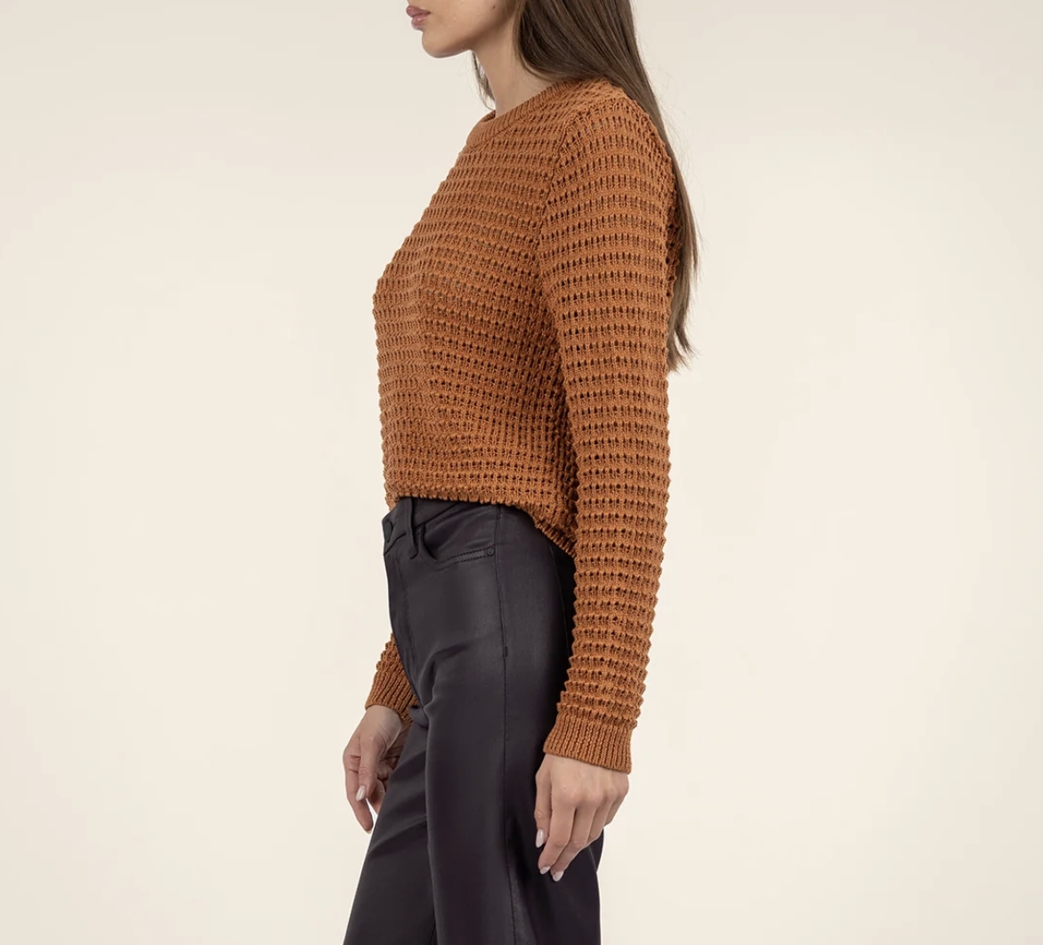 Screen Shot 2025-01-08 at 11.50.39 AM.png