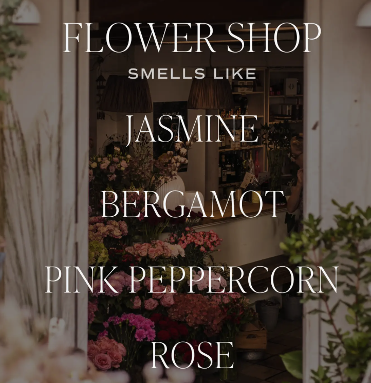 Screen Shot 2025-01-31 at 1.22.57 PM.png