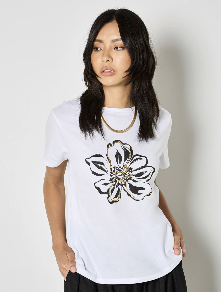 Screen Shot 2026-01-25 at 10.30.44 AM.png