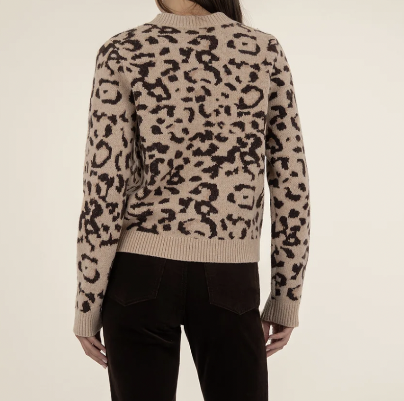 Screen Shot 2025-10-06 at 11.55.25 AM.png