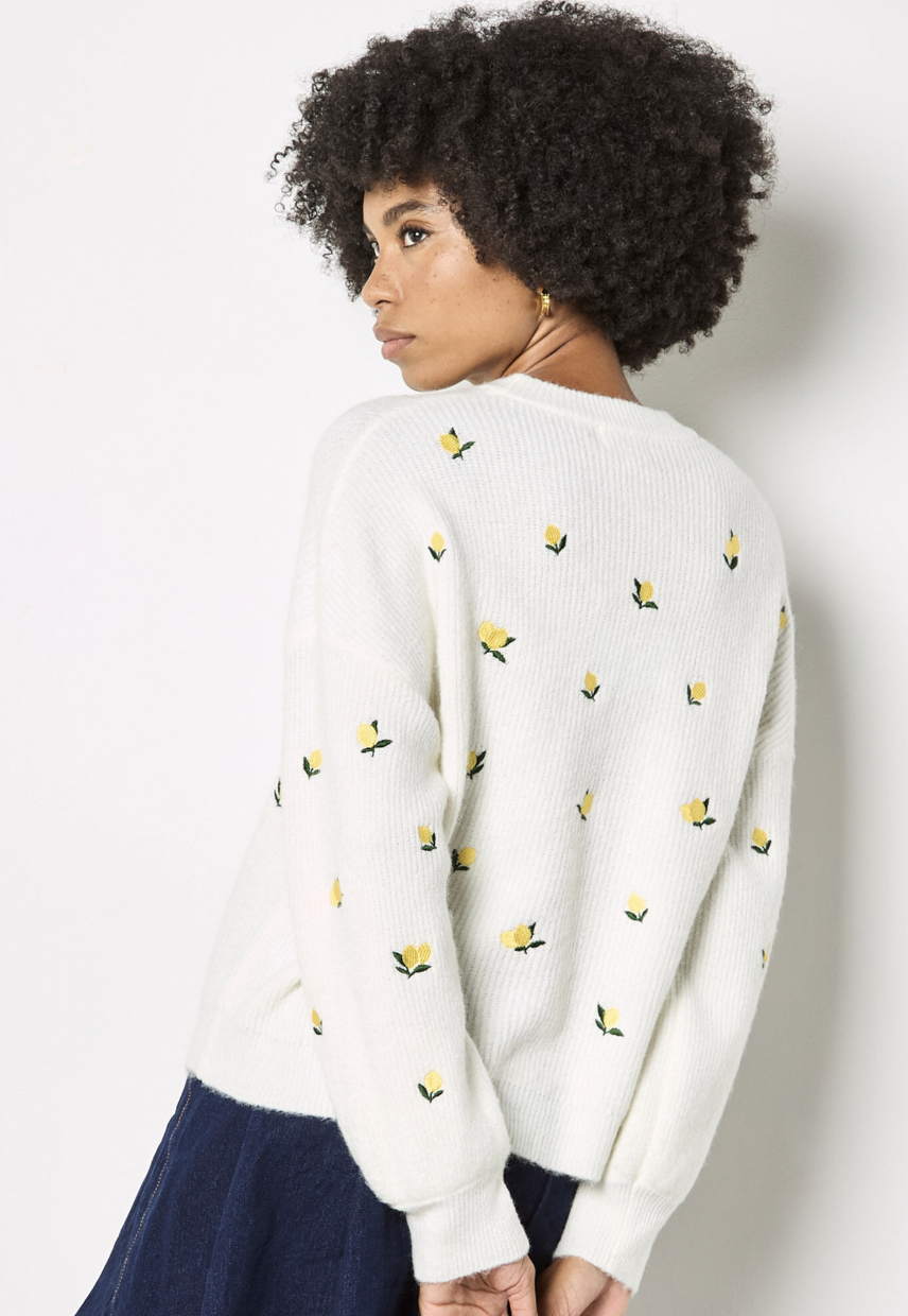 Screen Shot 2026-01-25 at 10.23.21 AM.png