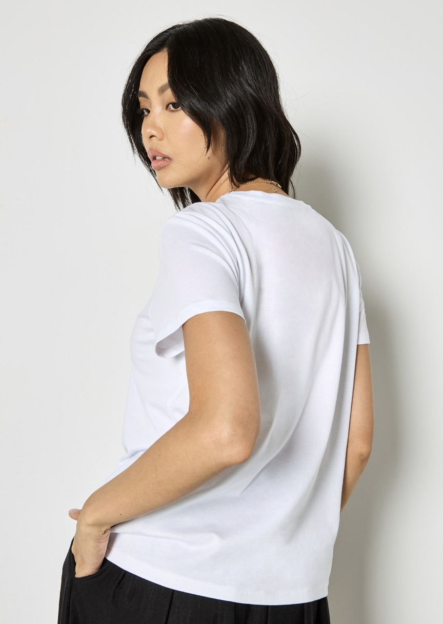 Screen Shot 2026-01-25 at 10.31.03 AM.png