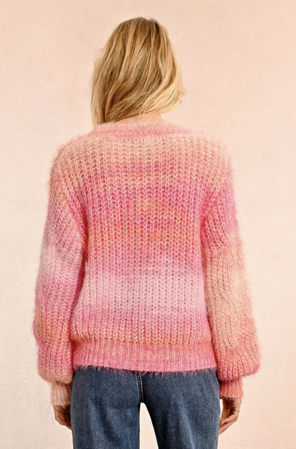 Screen Shot 2025-01-06 at 1.11.27 PM.png