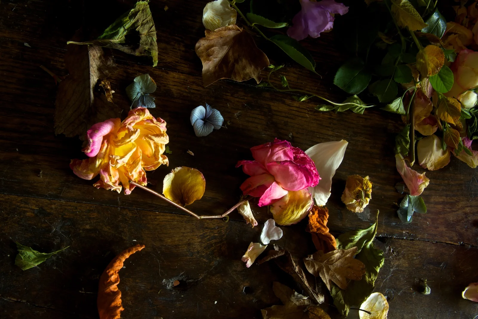 Ingrid-Rasmussen-Interiors 007.jpg