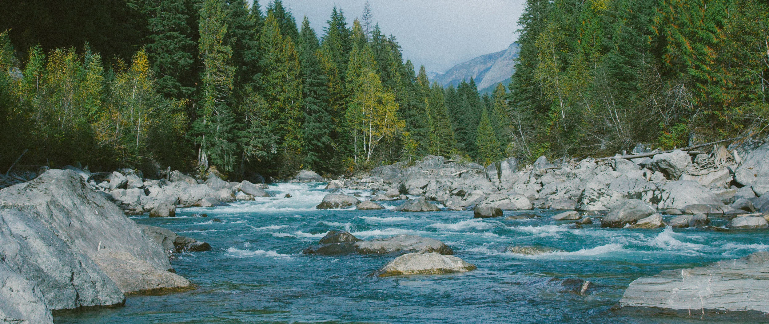 A005_C003_0102DE.0000078.jpg