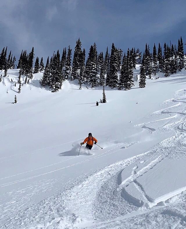 Marchuary is real! It&rsquo;s been dumping up here &amp; there&rsquo;s still time to book your own slice of the fun @shredgreatnorthern #catskiing #skiing #catboarding #snowboarding