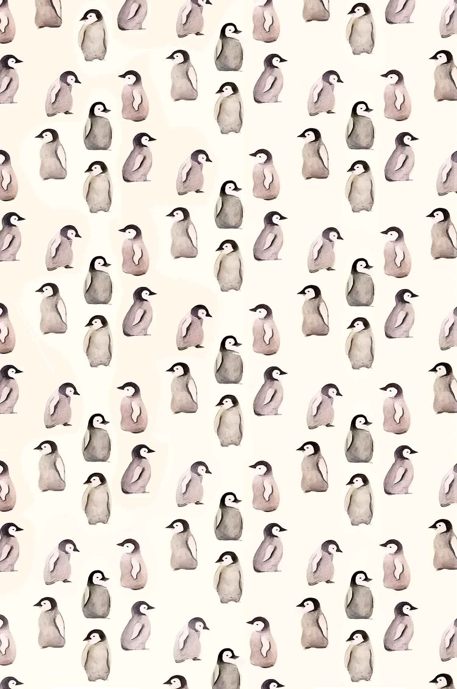Baby Penguins