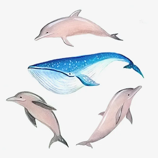 Whale's Dream