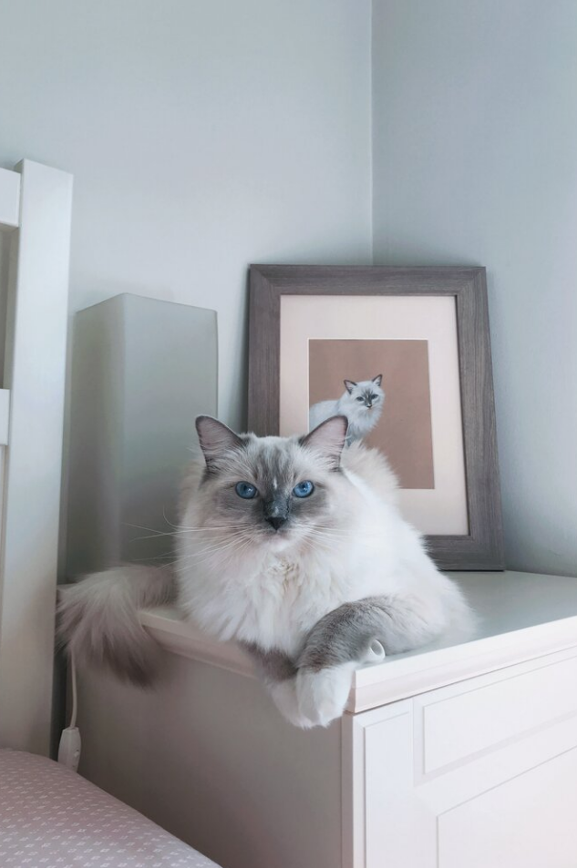 Screen Shot 2019-09-17 at 10.06.49 AM.png