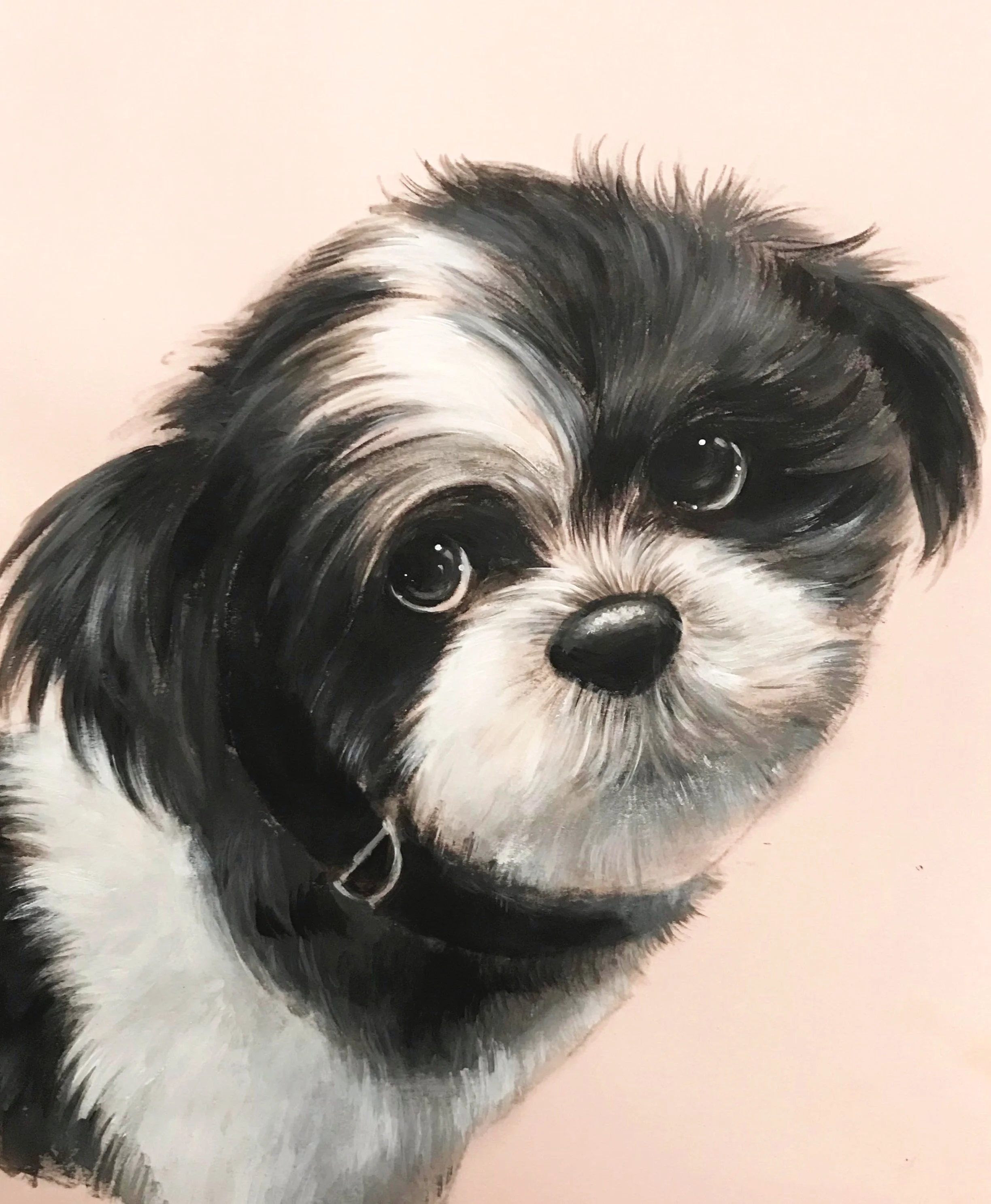 coco2.jpg