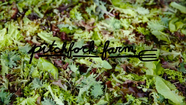 Pennington Productions Presents: Pitchfork Farm Washing Greens (Villanelles Music)