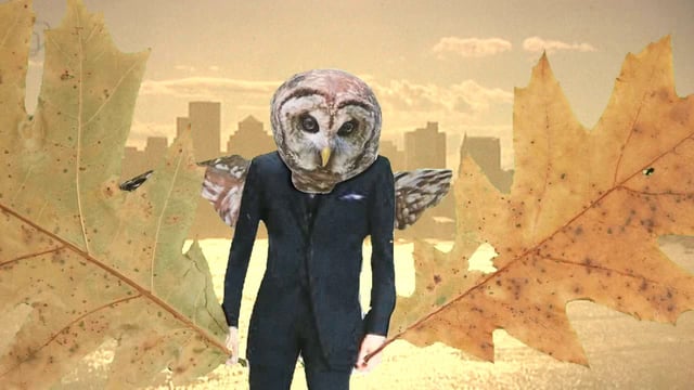 Pennington Productions Presents: "Owl"