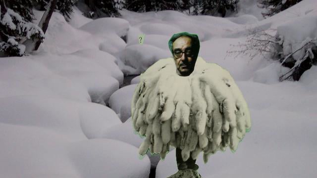 Pennington Productions Presents: What Bird is That?
