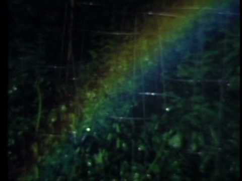 Divorce- 2007