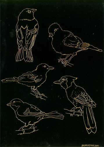 5 in the Bush Engraving on copper foil scratchboard 5" x 7"