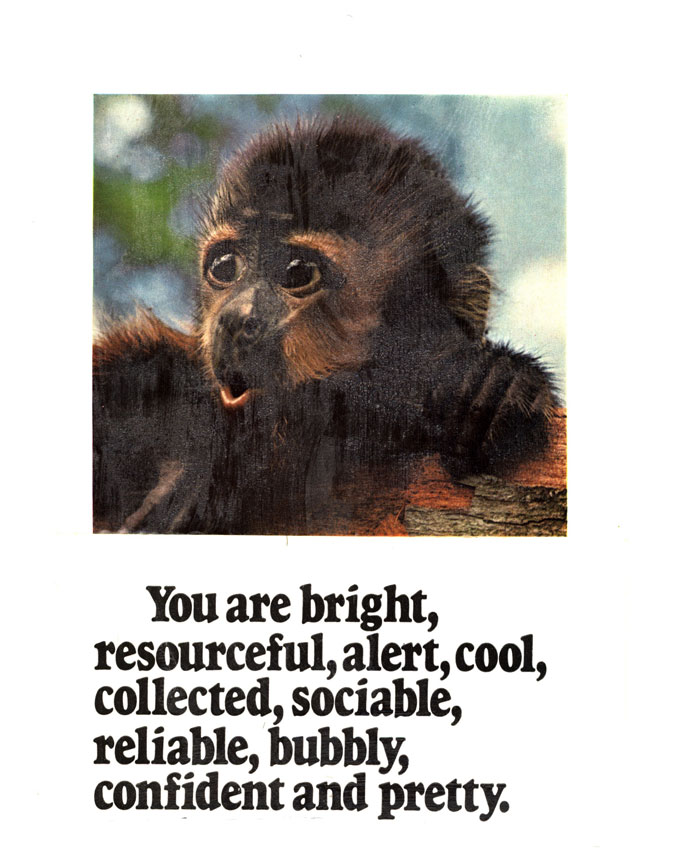 You are Bright (2007) ready-made on canvas panel 8 x 10 inches