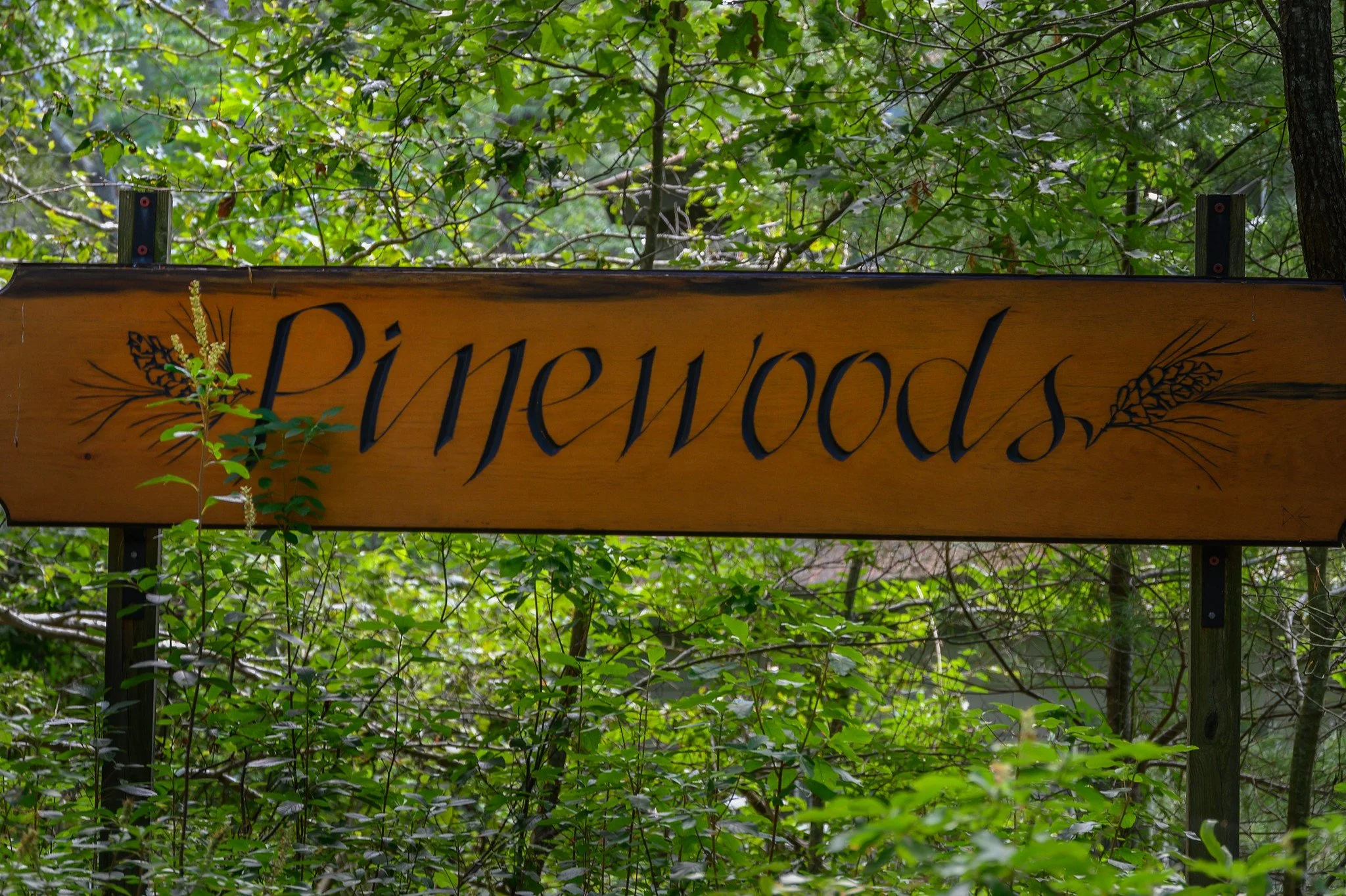 July 4th Weekend at Pinewoods