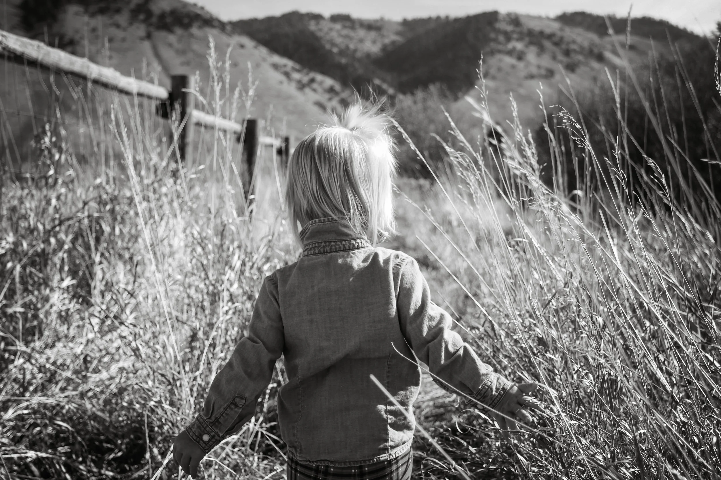 A Dance In The Leaves
