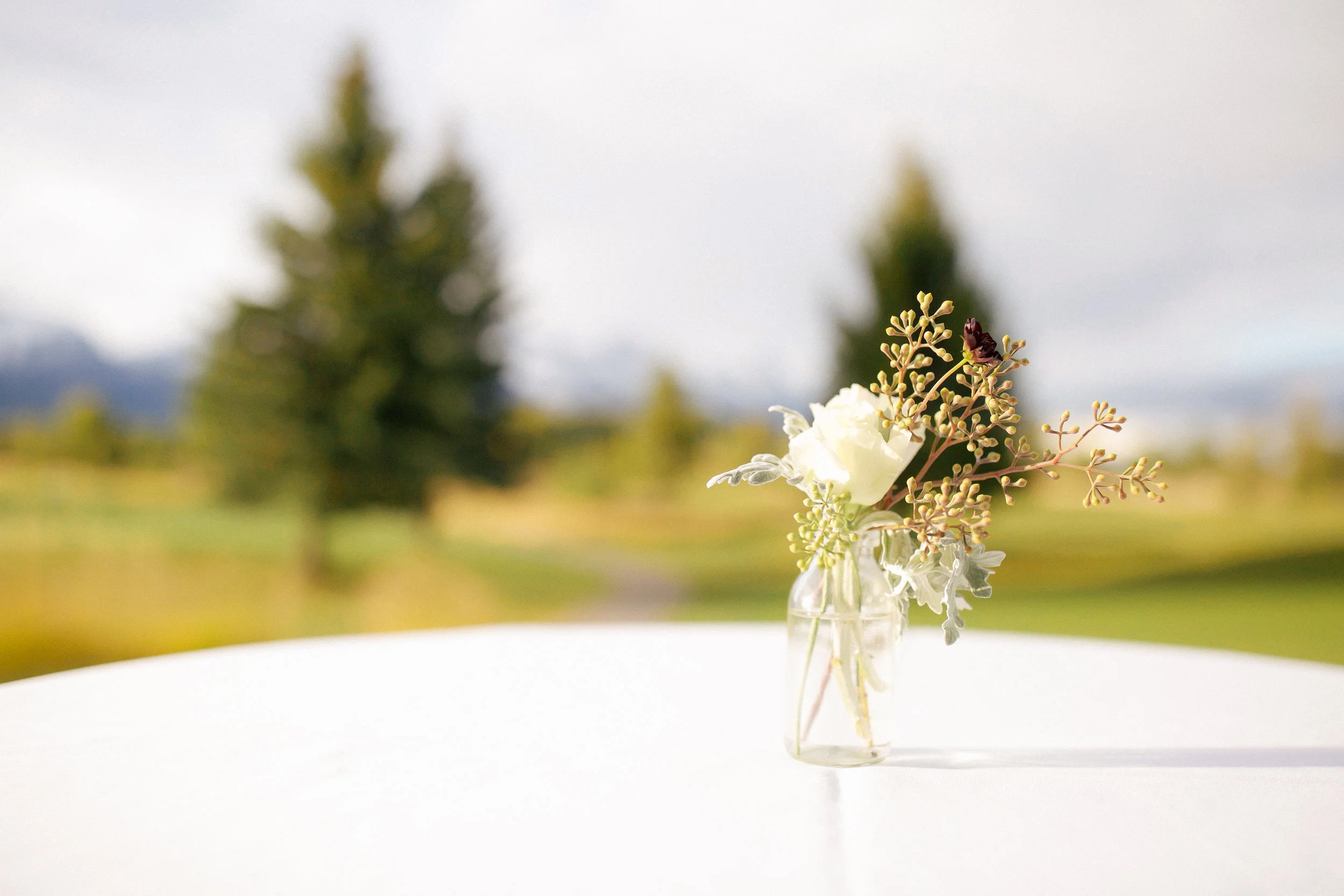 T&BWeddingFinal2-86.jpg