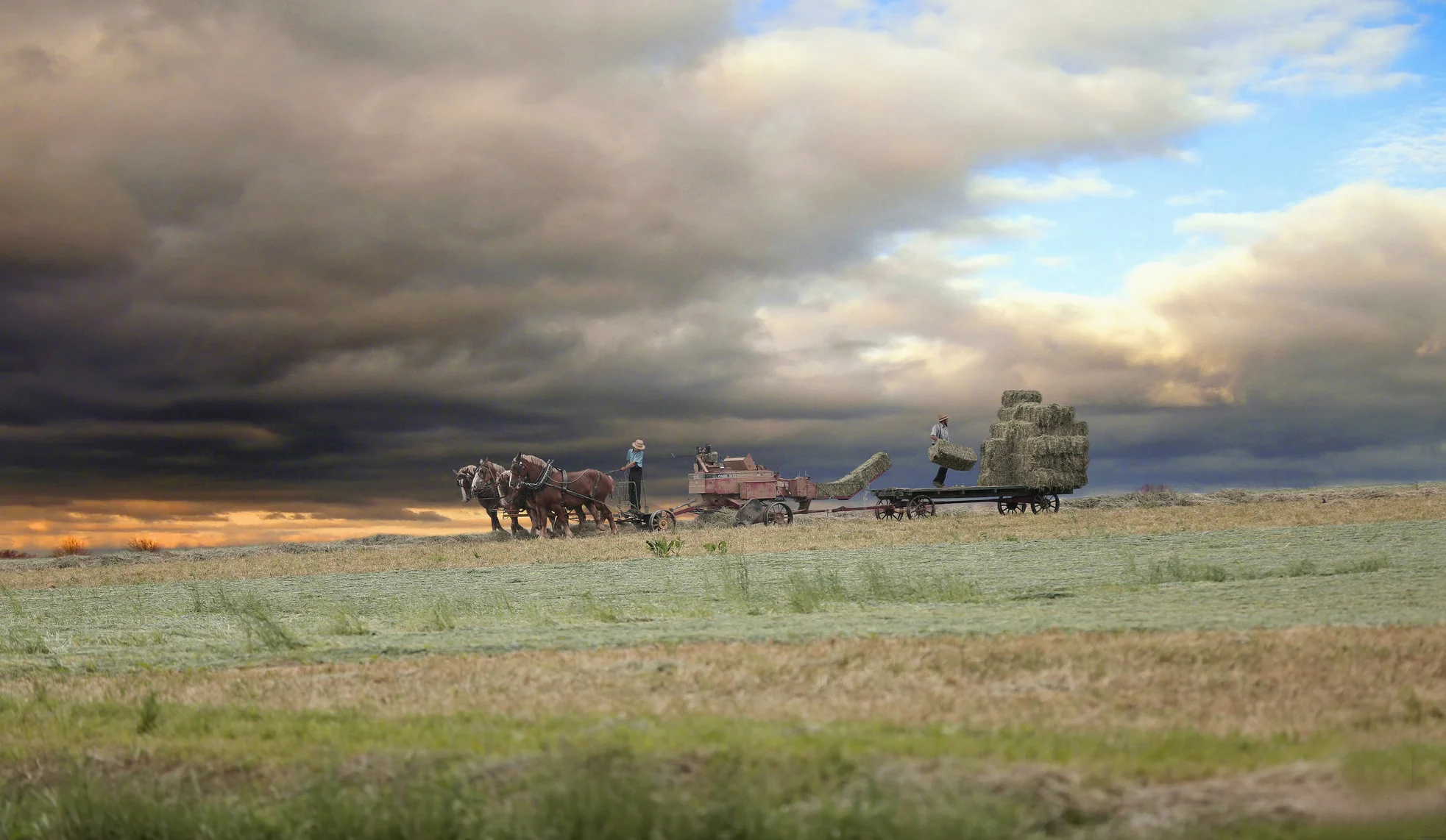 color square bales horses.jpg