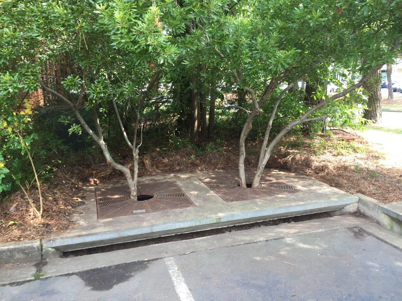 Stormwater Facility Maintenance Exact Stormwater Management
