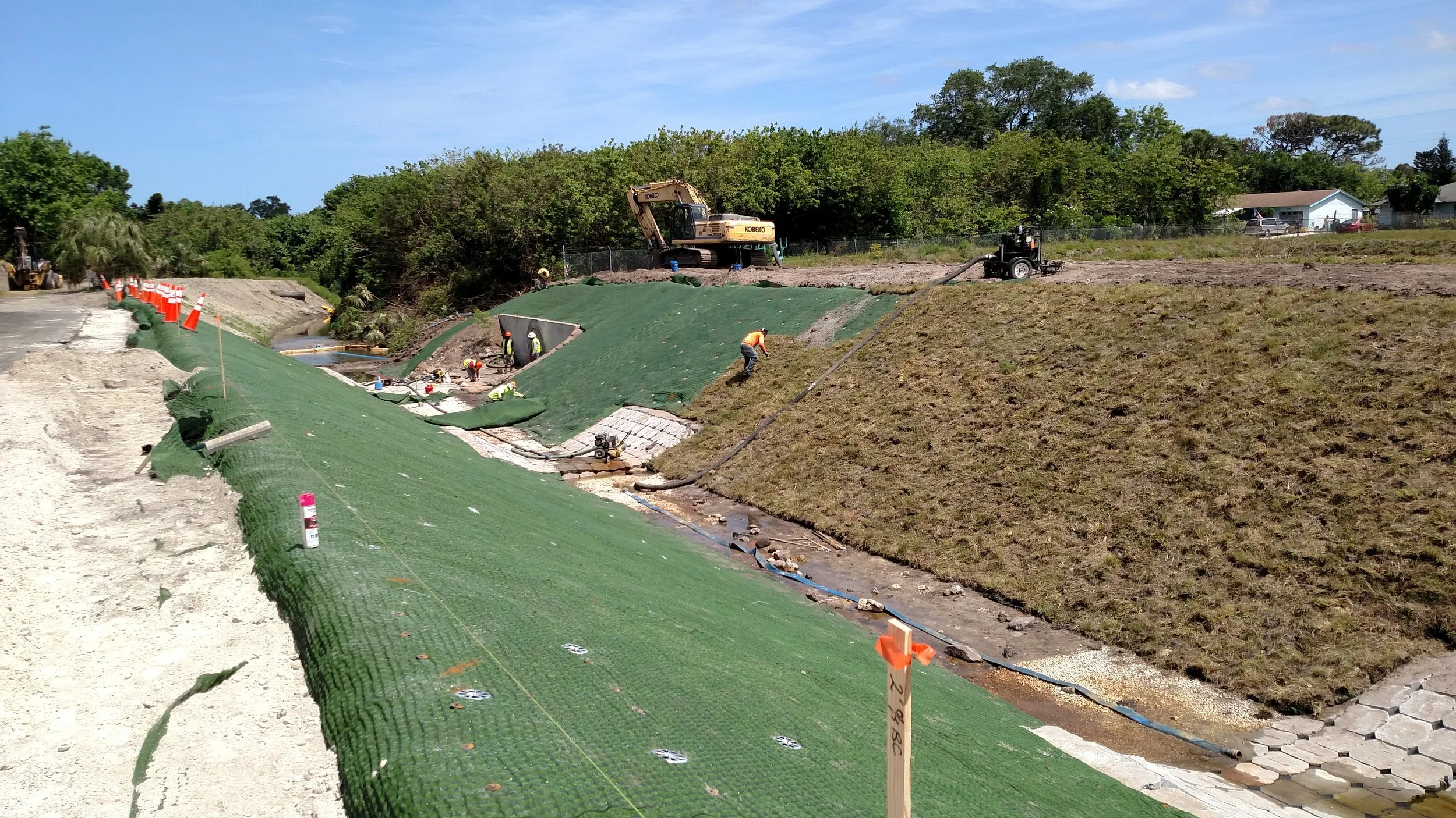 TRECS with sod - Copy.jpg