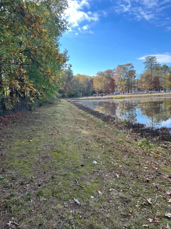 pond-3.webp