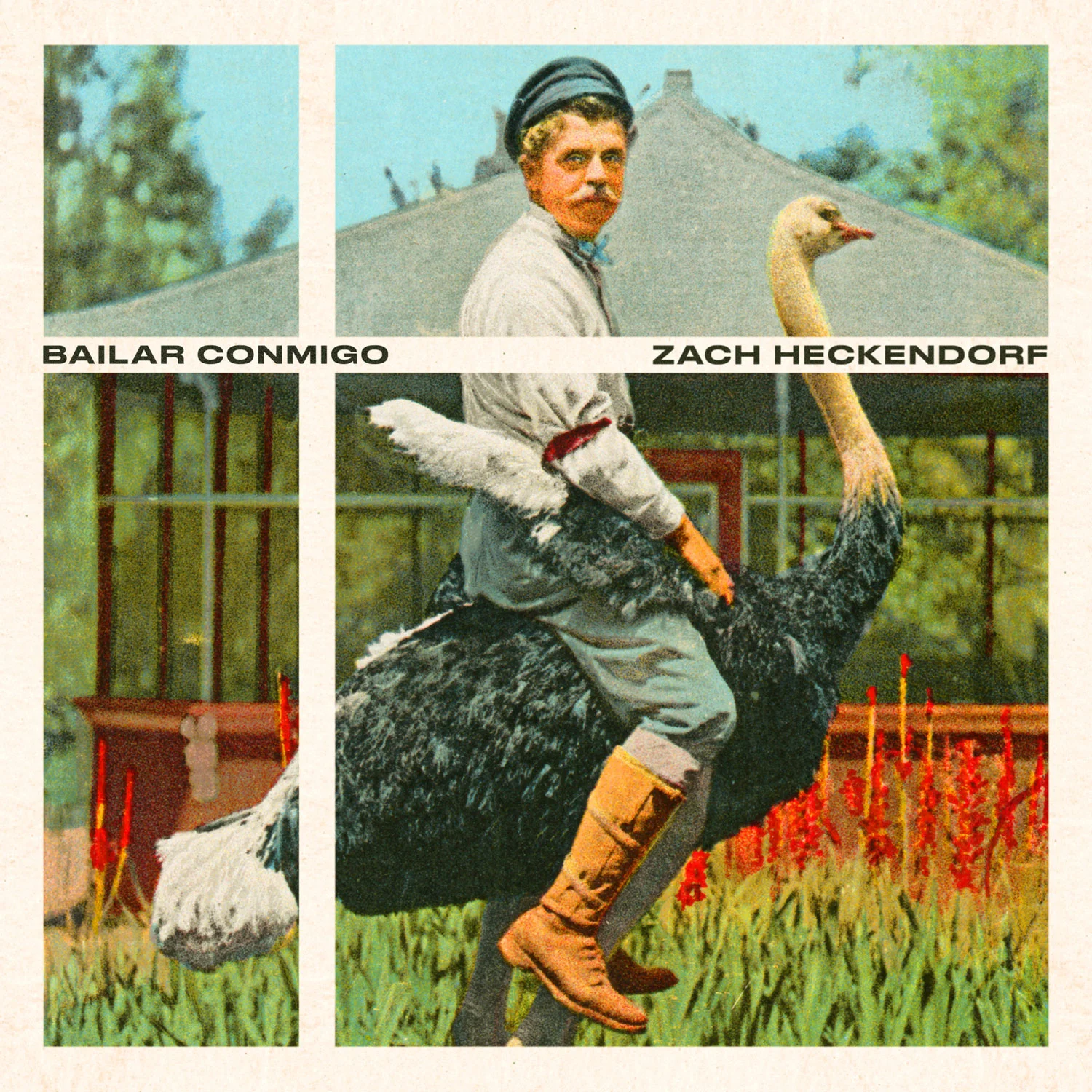 3-BAILAR-CONMIGO.jpg