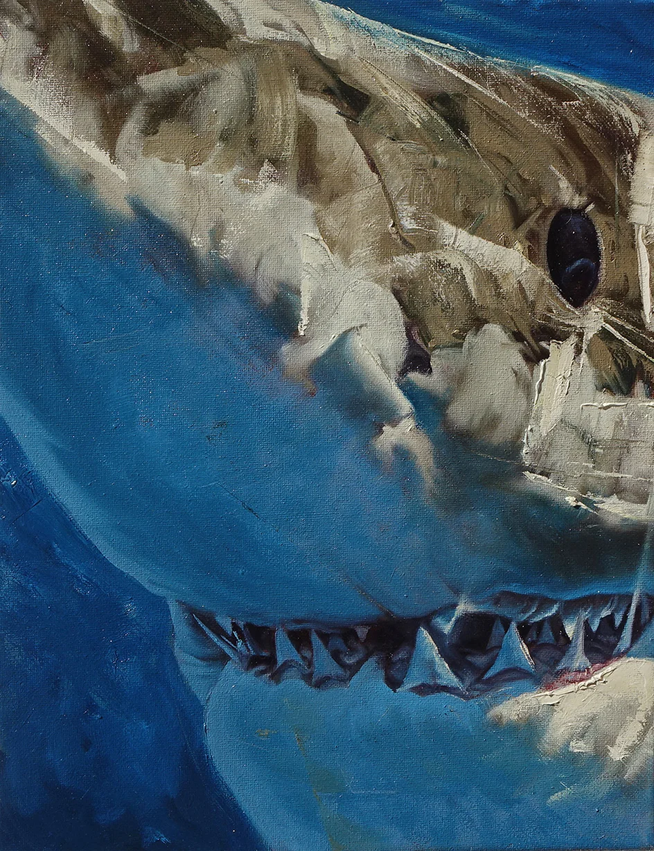44_Sharkteeth_650.jpg