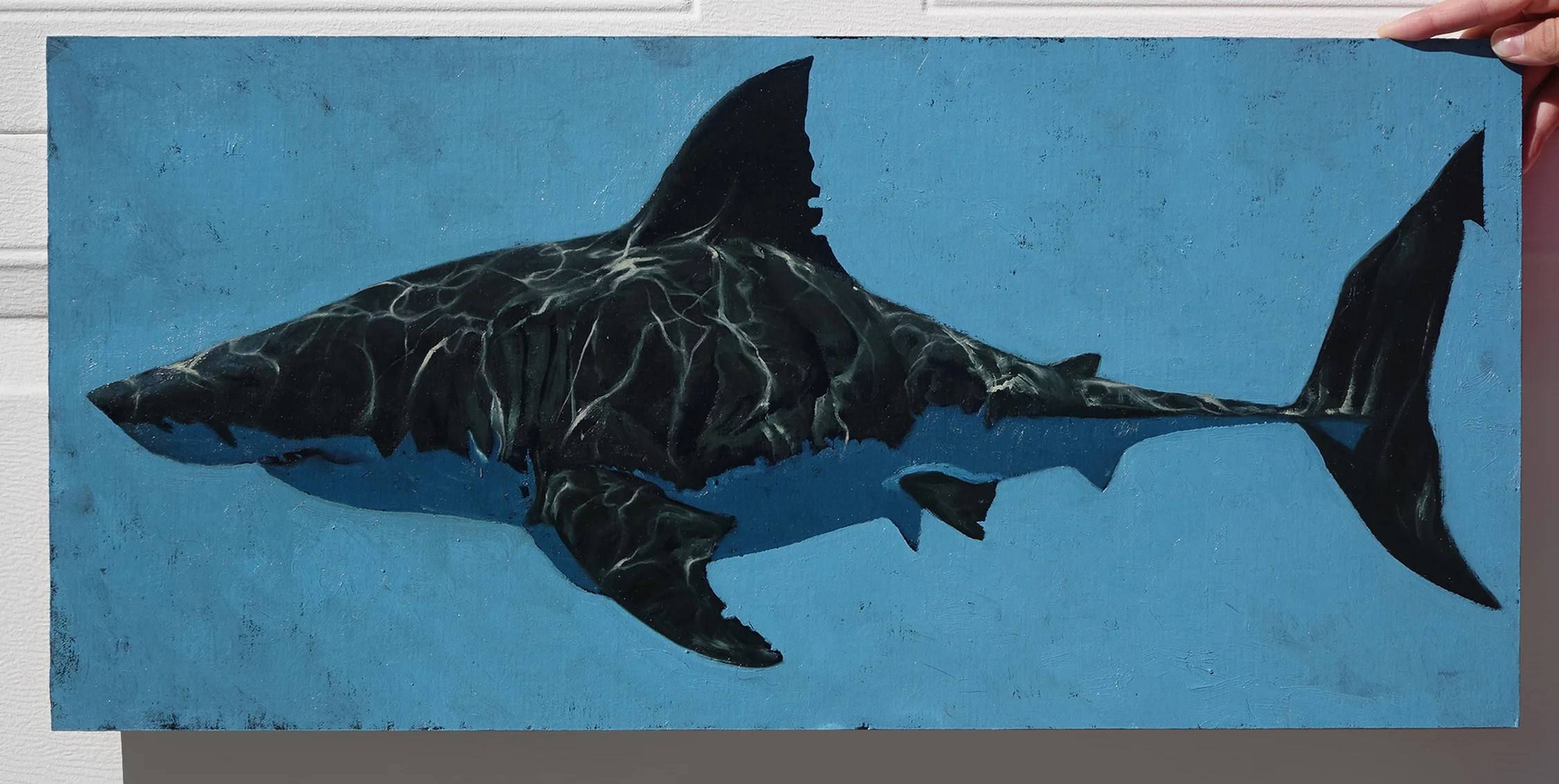 39_Profile_Shark2000.jpg