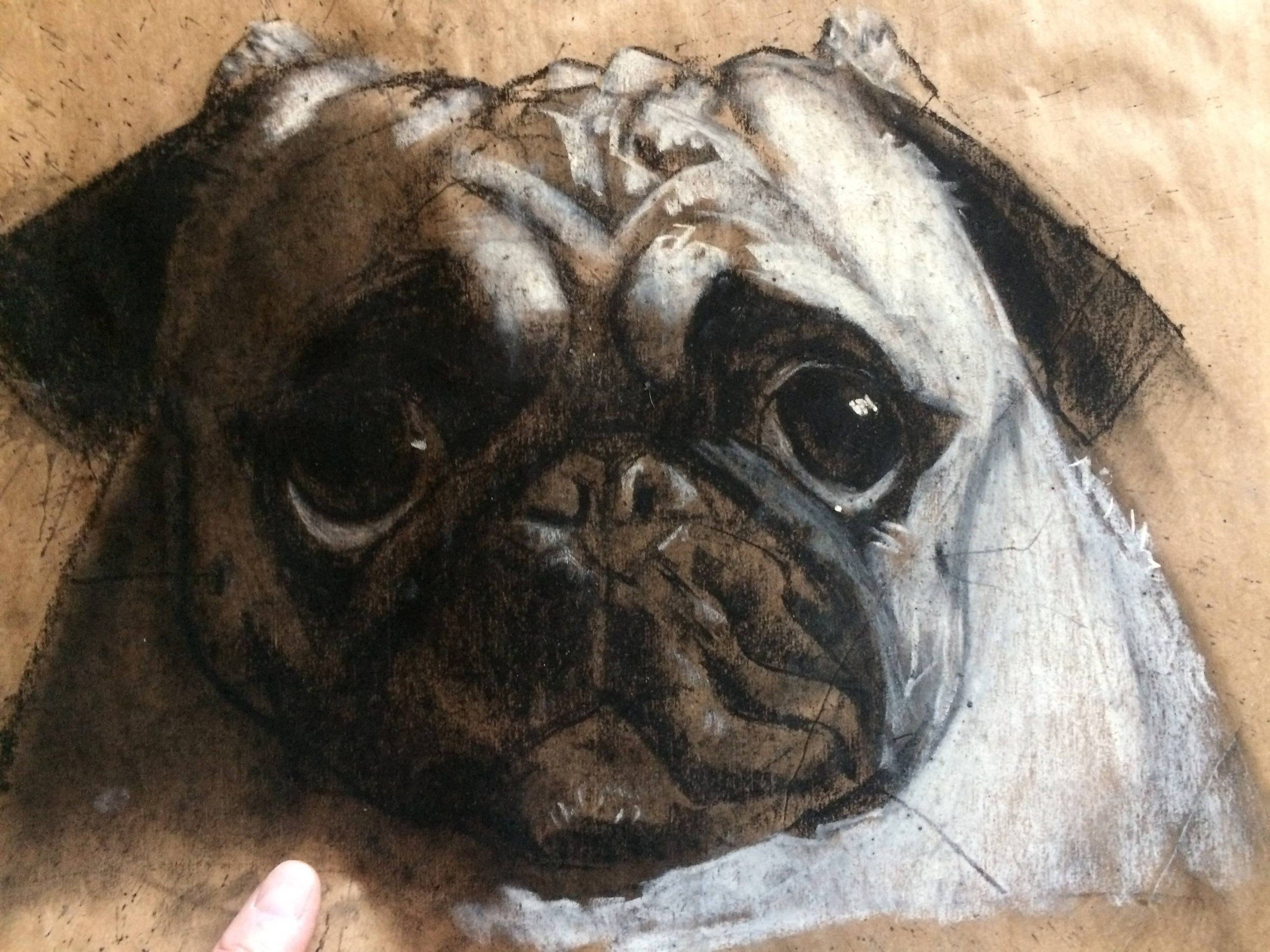 27_b_PugPortrait_11x14_$250.jpg