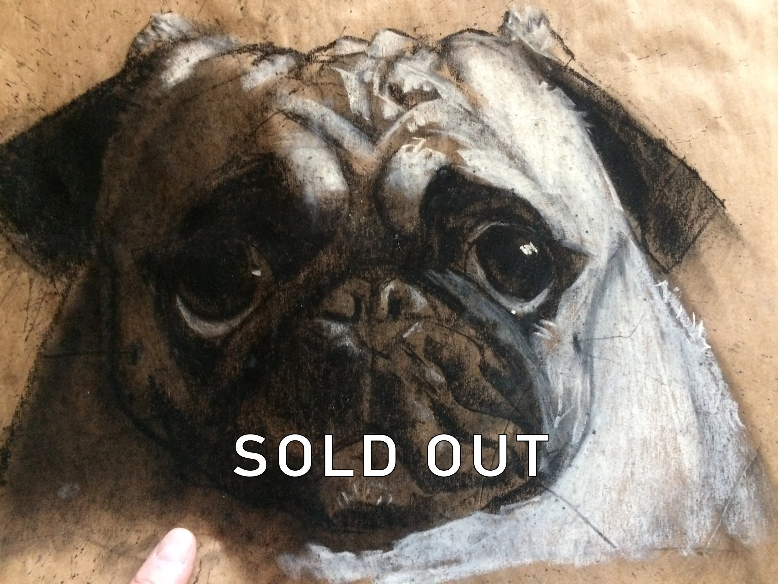 27_b_PugPortrait_11x14_$250.jpg