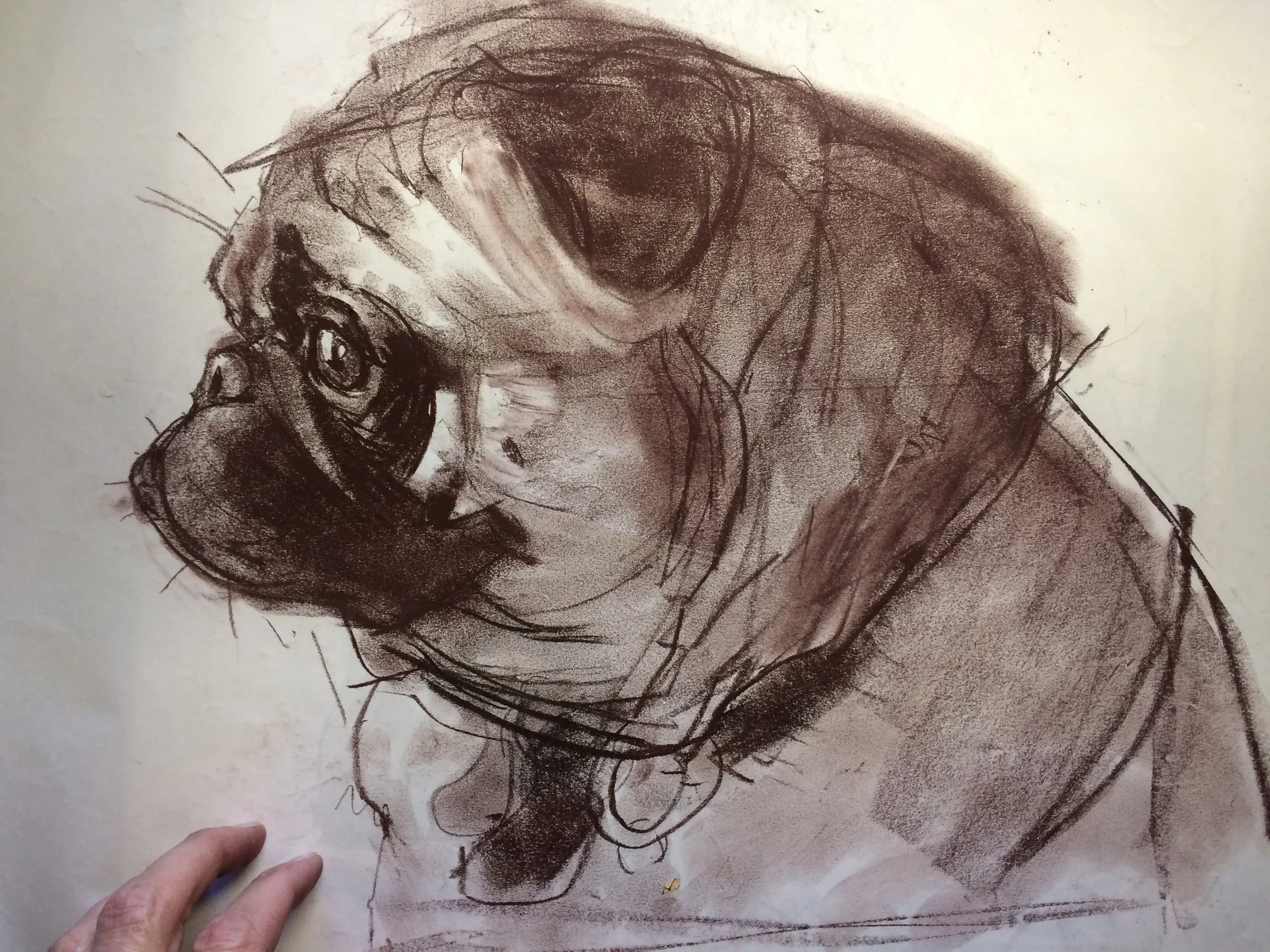 PugStudy150.jpg