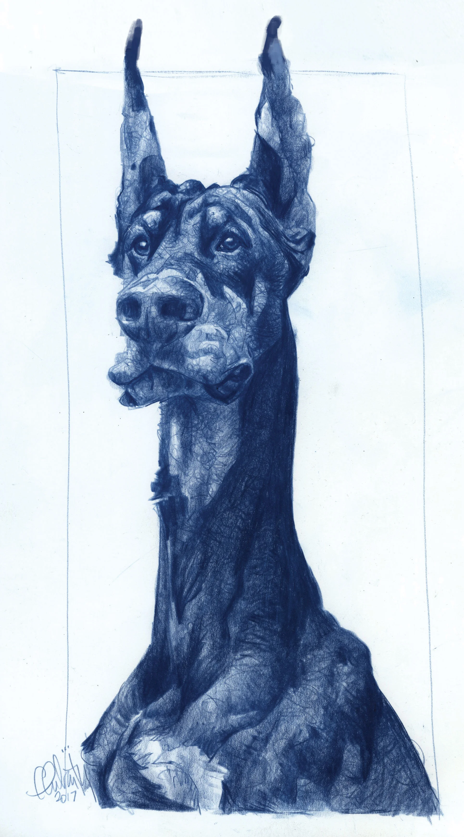 2. Bleu Line Portrait