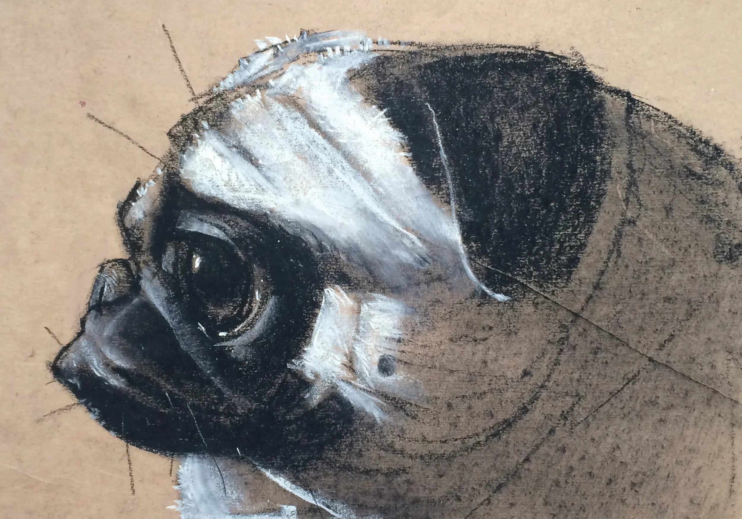 3. Charcoal Approach