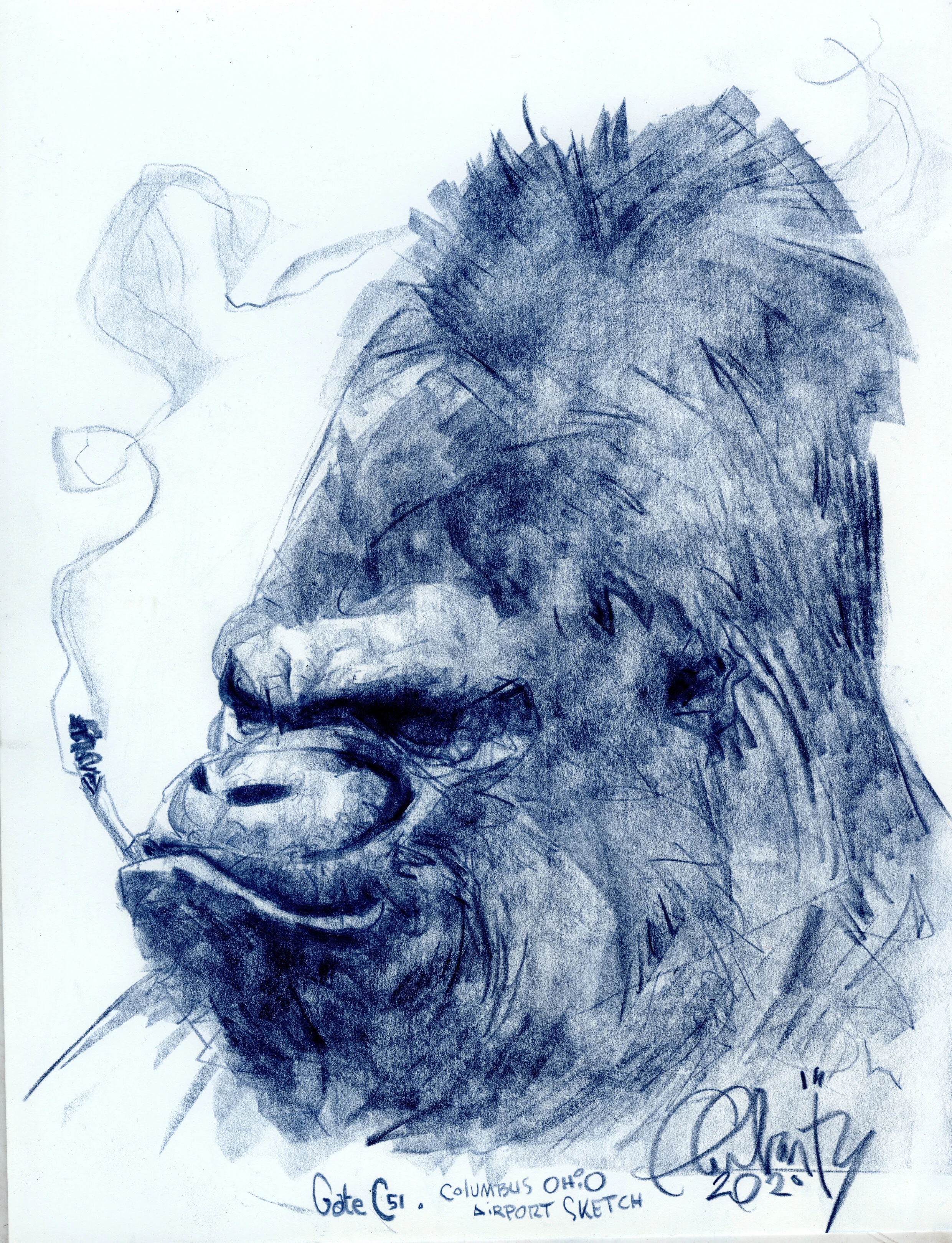 monkey_ape490.jpg