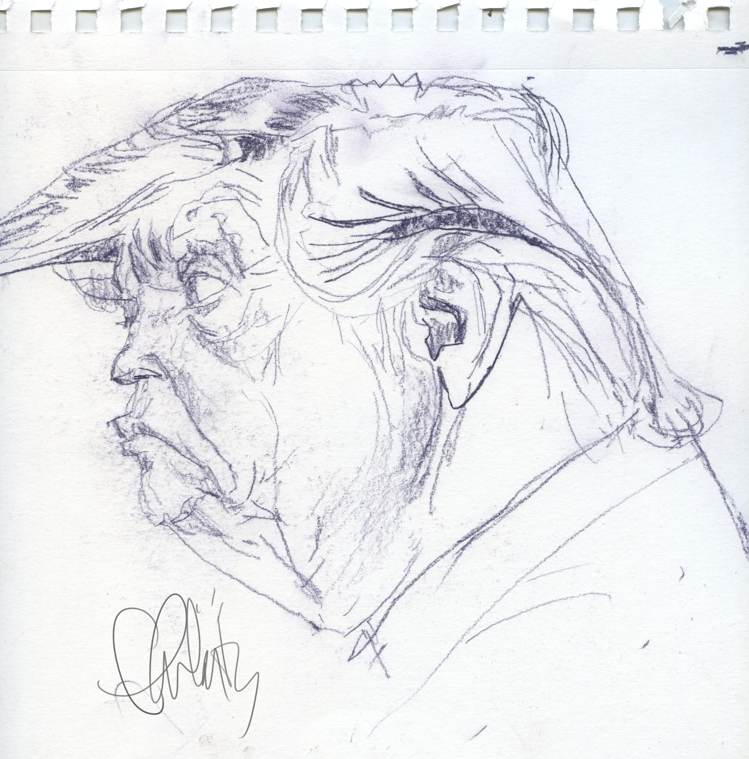 Trump_sketch_2594.jpg