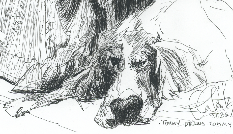 Screenshot 2025-04-08 at 7.02.49 PM.png