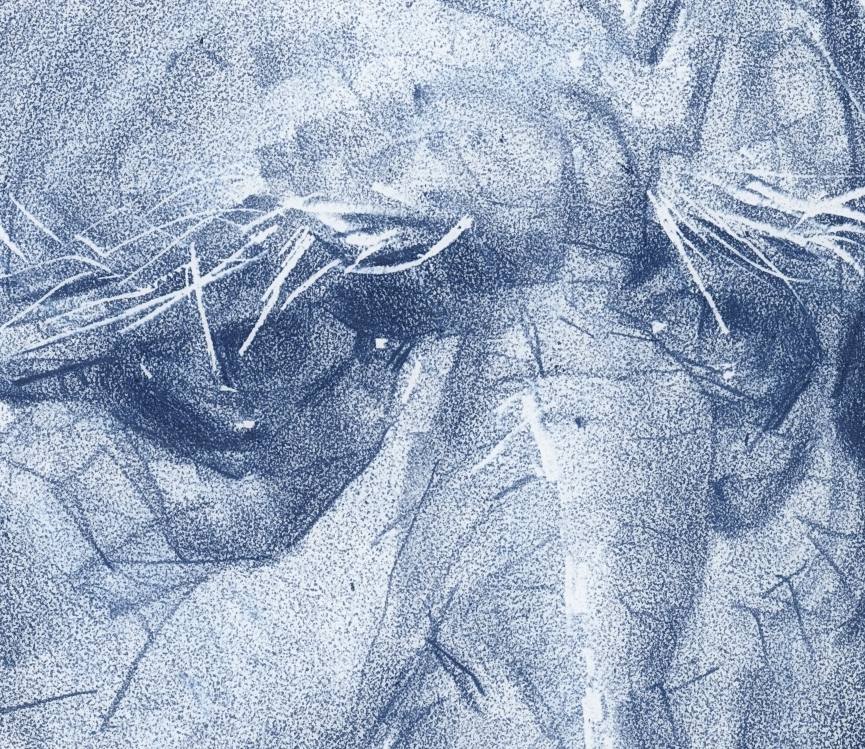 Screenshot 2025-03-08 at 5.53.08 PM.png