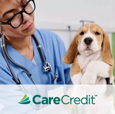 carecredit2.webp