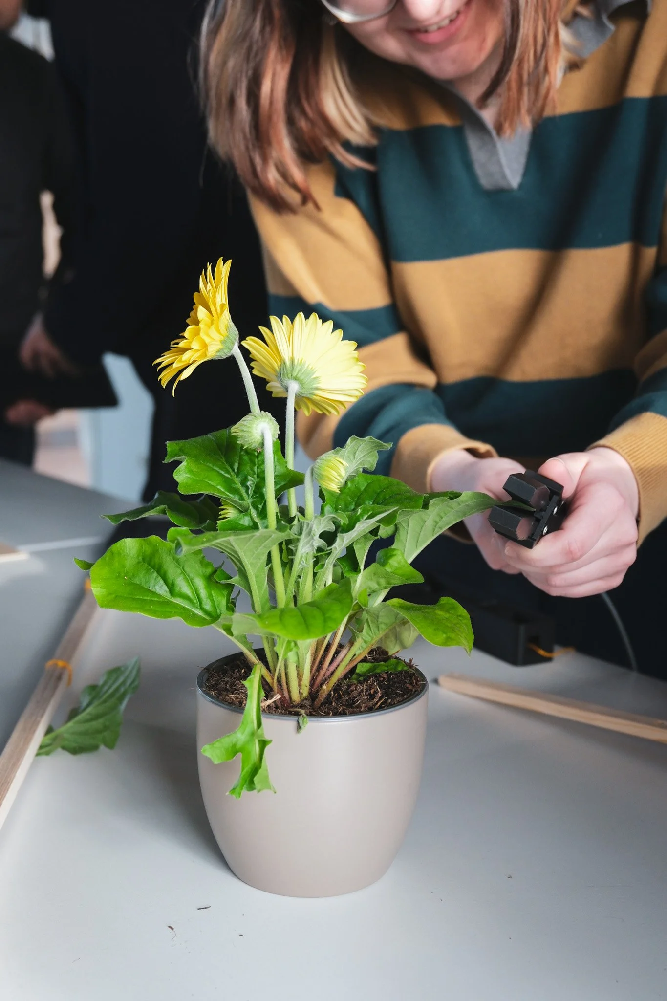 Presentation Days | Greifen und Begreifen