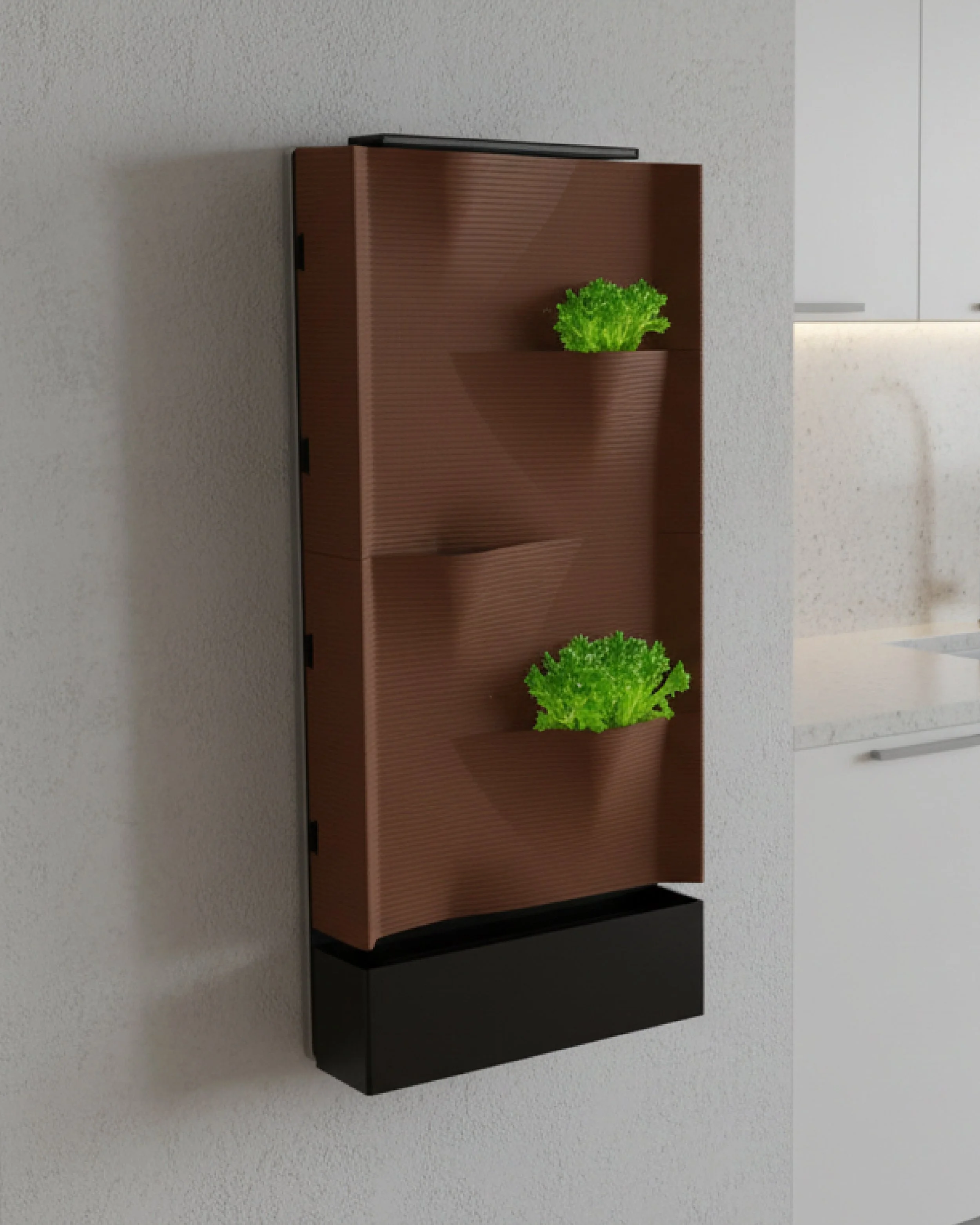 social media_nutra 3.jpg