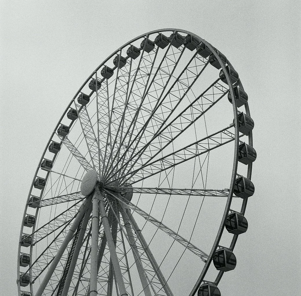 991707531.jpg