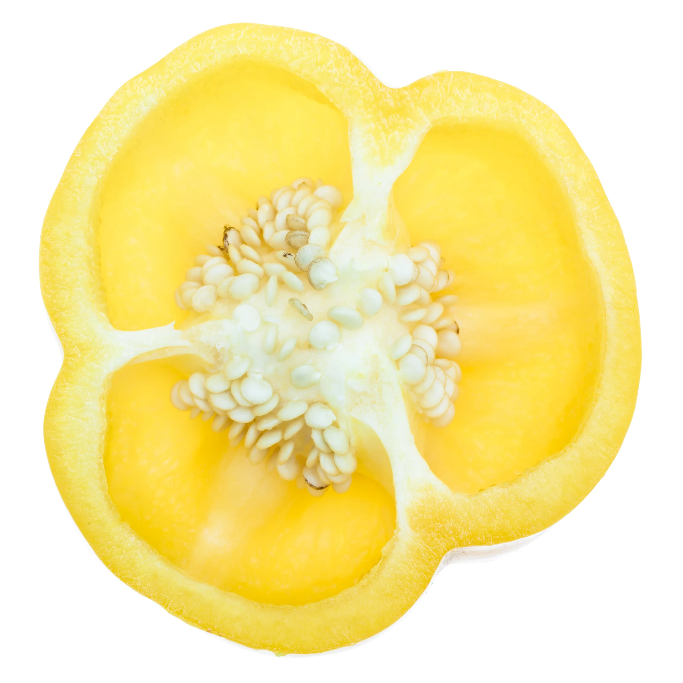 yellow pepper.jpg