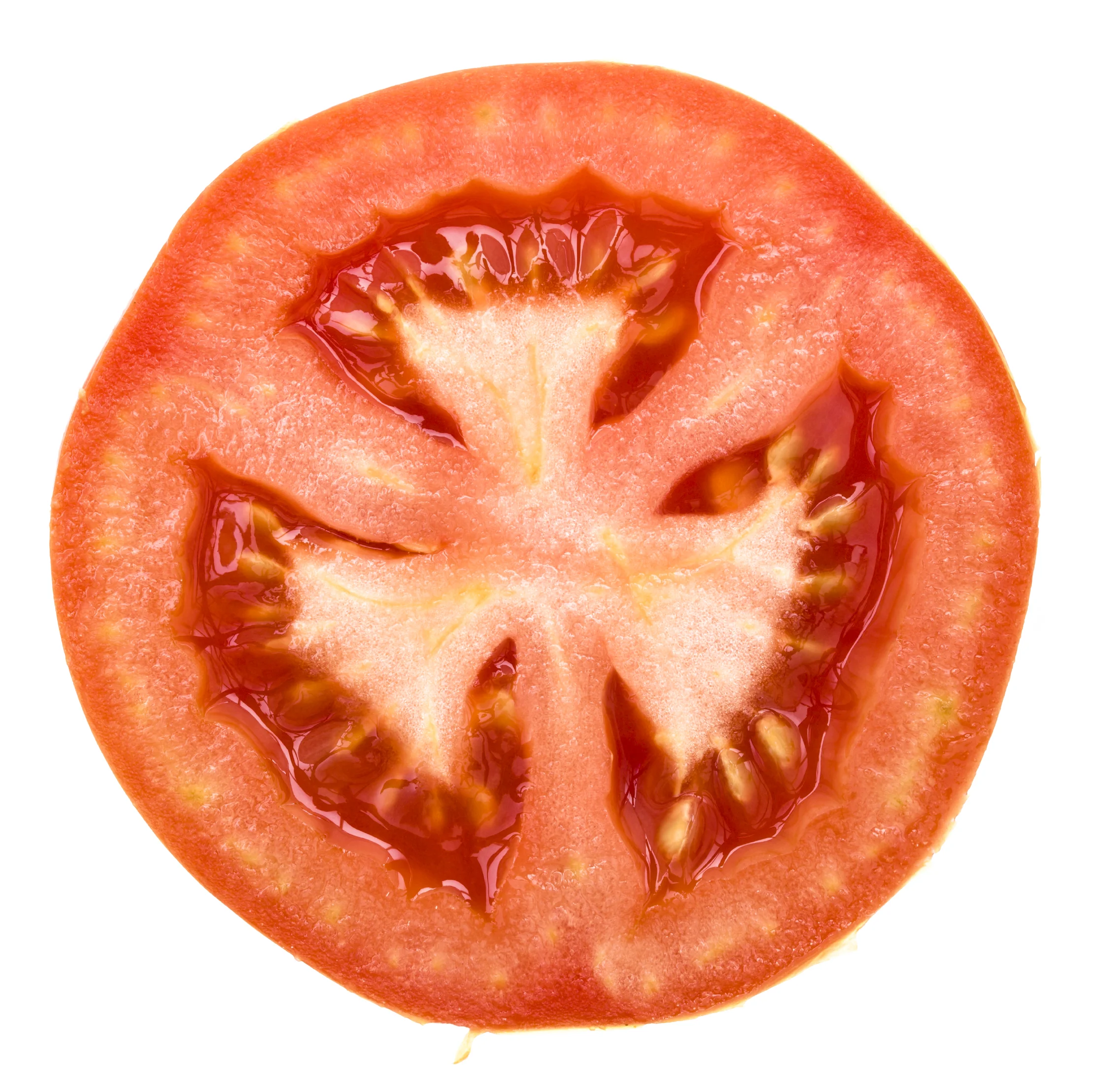 tomato.jpg