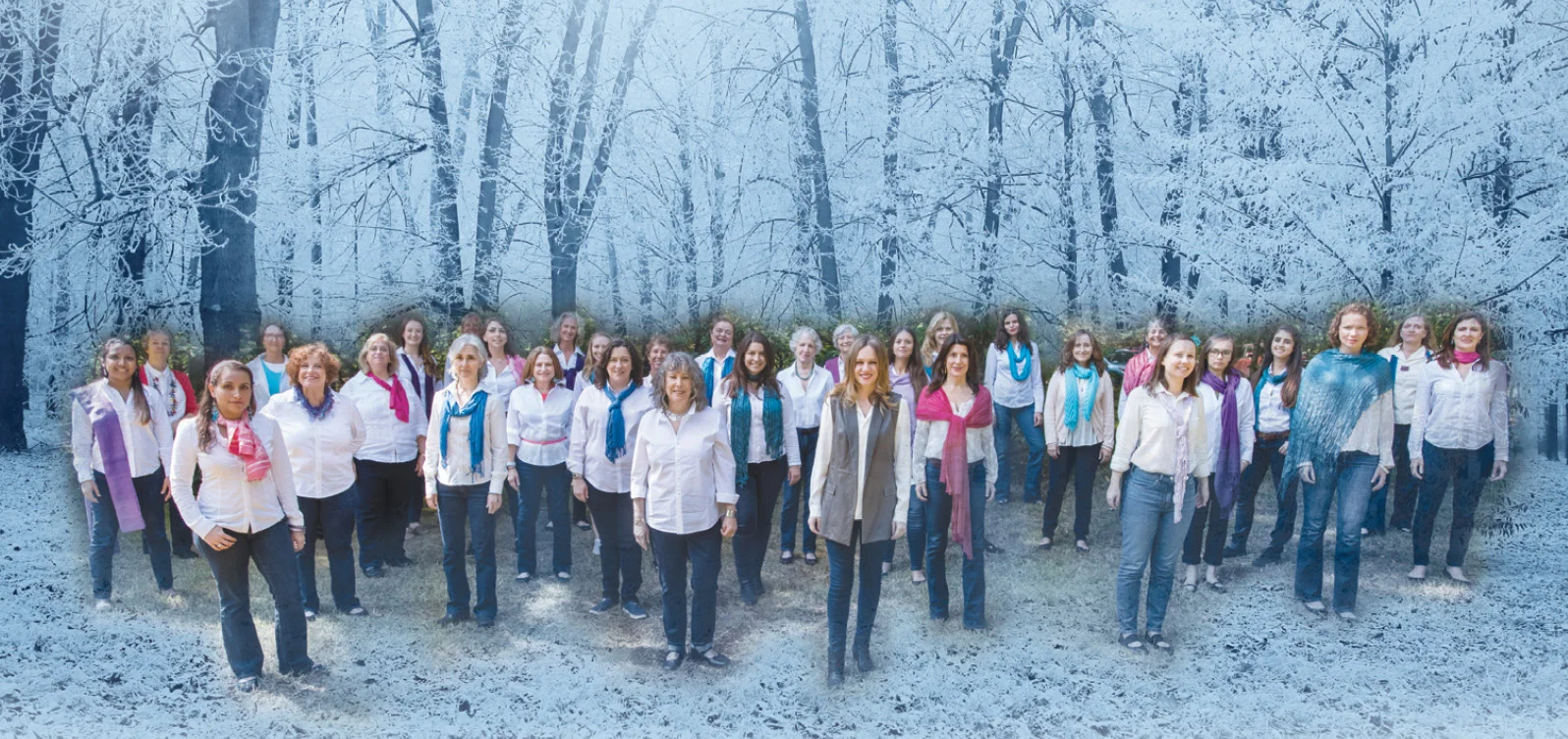SoHarmoniums-Winter.jpg