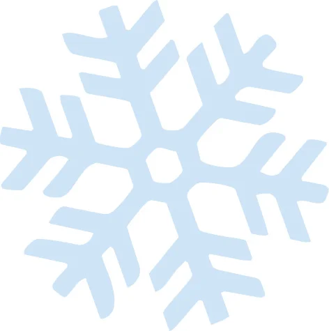 soho_snowflake_s.jpg