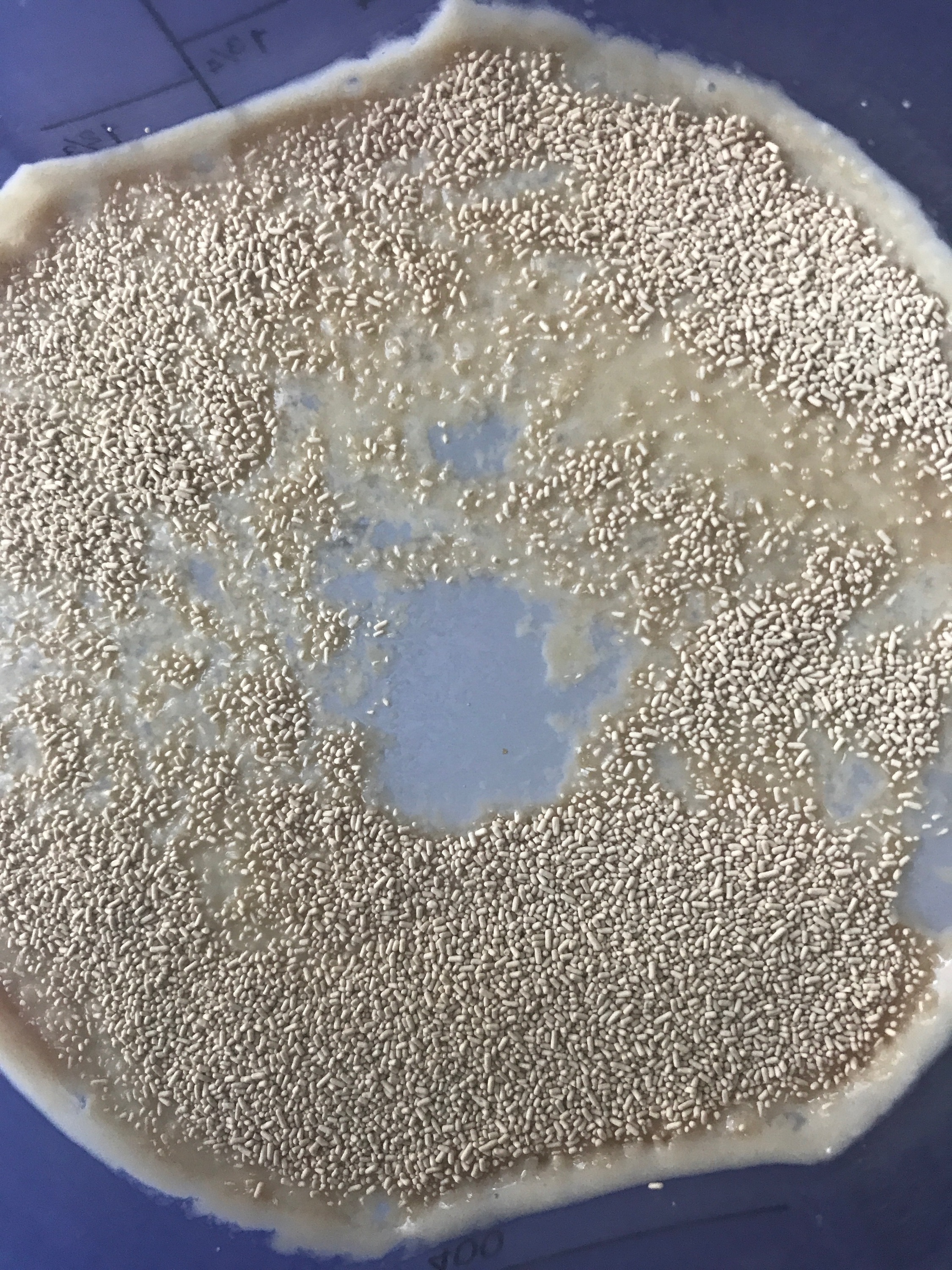 Watch the yeast throw a party!