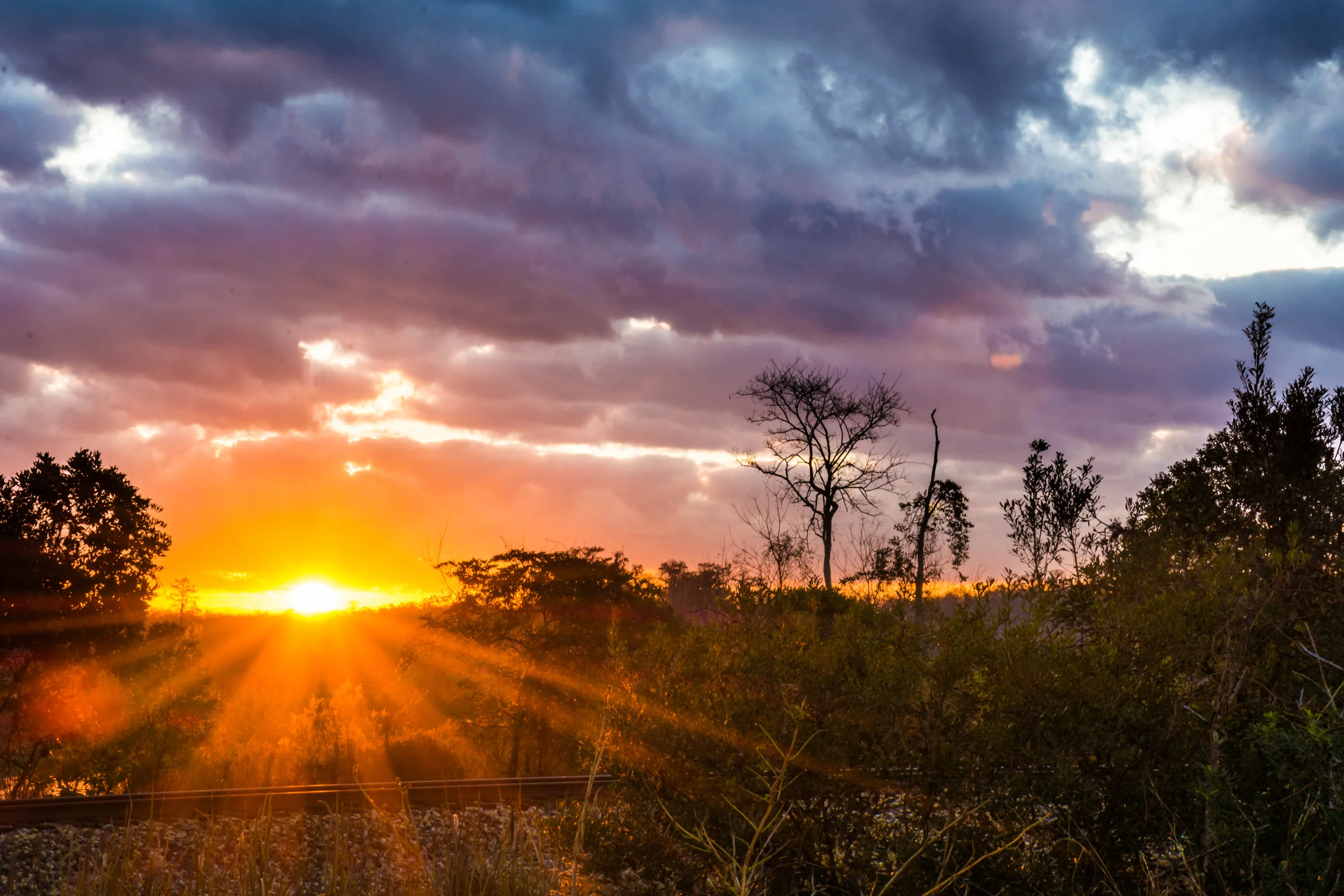 Sunrise-101.jpg